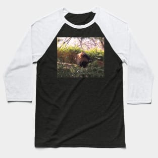 Lion in the Sun Baseball T-Shirt